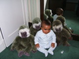 Photo /users/ganesh/monkeynut/1771