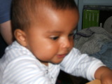 Photo /users/ganesh/monkeynut/1787