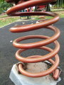 Photo /users/ganesh/monkeynut/1826