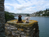 Photo /users/ganesh/monkeynut/235