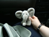 Photo /users/ganesh/monkeynut/322