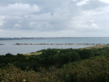 Photo /users/ganesh/monkeynut/324