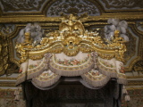 Photo /users/ganesh/monkeynut/399