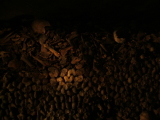 Photo /users/ganesh/monkeynut/480