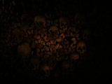 Photo /users/ganesh/monkeynut/481