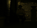 Photo /users/ganesh/monkeynut/487