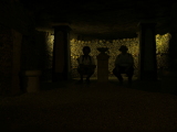 Photo /users/ganesh/monkeynut/488