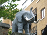 Photo /users/ganesh/monkeynut/771