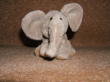 Photo /users/ganesh/monkeynut/817