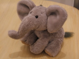 Photo /users/ganesh/monkeynut/823