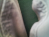 Photo /users/ganesh/rednaxela/234