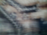 Photo /users/ganesh/rednaxela/287