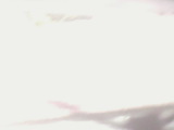 Photo /users/ganesh/rednaxela/737
