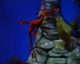 Photo /users/ganesh/stephen-au/PER3/3