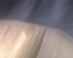 Photo /users/ganesh/stephen-au/PER6/61