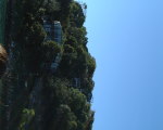 Photo /users/ganesh/stephen-au/SYD6B/8