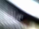 Photo /users/ganesh/thehare/139