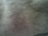 Photo /users/ganesh/thehare/183