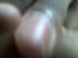 Photo /users/ganesh/thehare/255