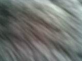 Photo /users/ganesh/thehare/28