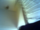 Photo /users/ganesh/thehare/360