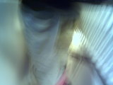 Photo /users/ganesh/thehare/365