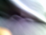 Photo /users/ganesh/thehare/39