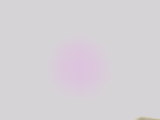 Photo /users/ganesh/thehare/405