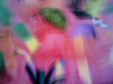 Photo /users/ganesh/thehare/454
