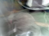 Photo /users/ganesh/thehare/48