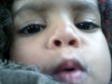 Photo /users/ganesh/thehare/67