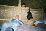 Photo /users/will/pics2/5