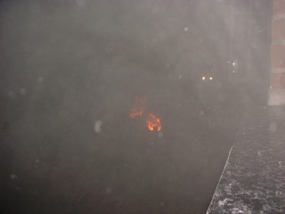 Photo /users/aendr/cheshirecat/1208