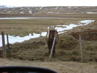 Photo /users/aendr/whiterabbit/803