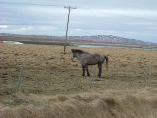 Photo /users/aendr/whiterabbit/806