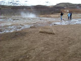 Photo /users/aendr/whiterabbit/818