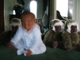 Photo /users/ganesh/monkeynut/1764