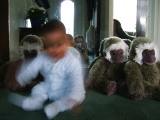 Photo /users/ganesh/monkeynut/1765