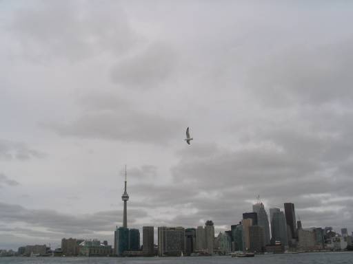 01%20-%20Toronto%20Skyline%20and%20Seagull.jpg